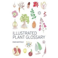 Illustrated Plant Glossary