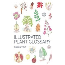 Illustrated Plant Glossary