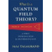 What Is a Quantum Field Theory?